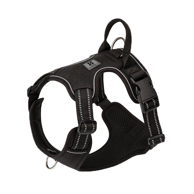 Dog harness