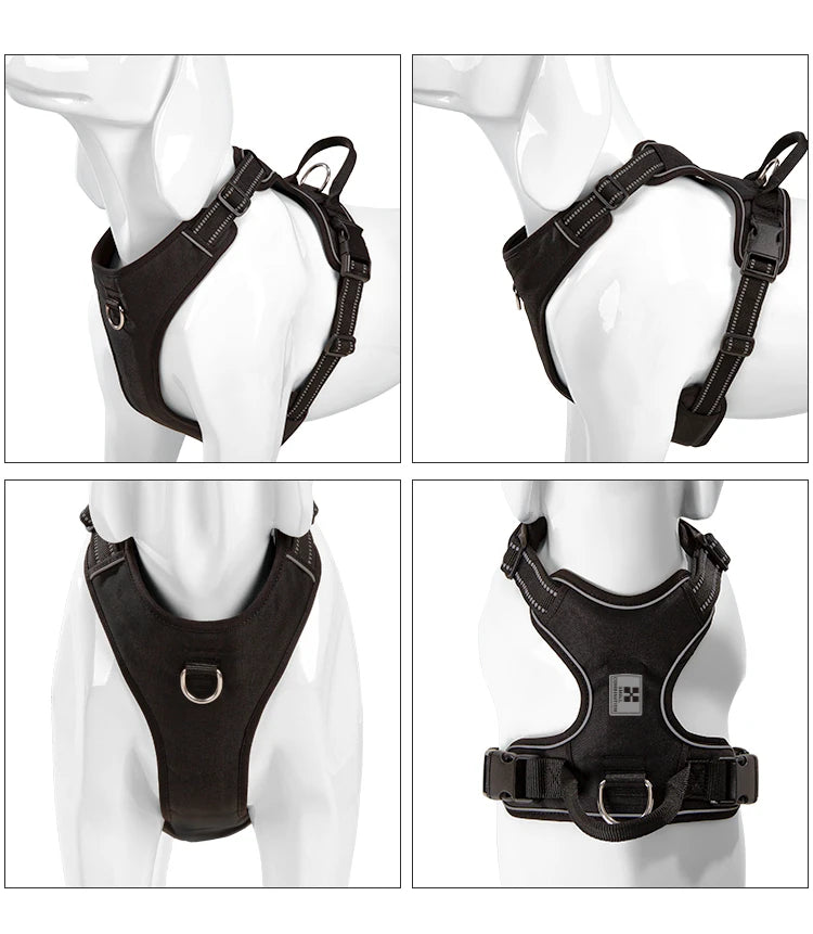 Dog harness